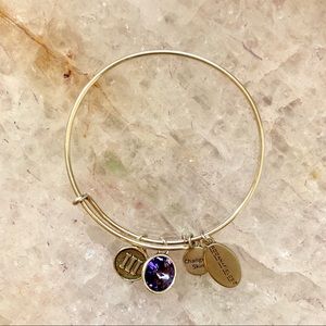 RODAN & FIELDS LEVEL III AMETHYST CHARM BRACELET